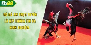 Đá gà 88