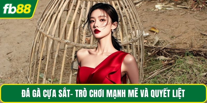 Đá gà cựa sắt- Trò chơi mạnh mẽ và quyết liệt