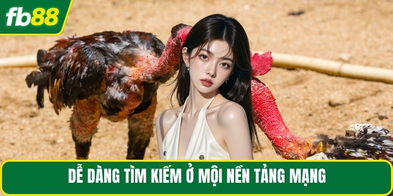 Dễ dàng tìm kiếm ở mọi nền tảng mạng