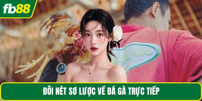 Đôi nét sơ lược về đá gà trực tiếp