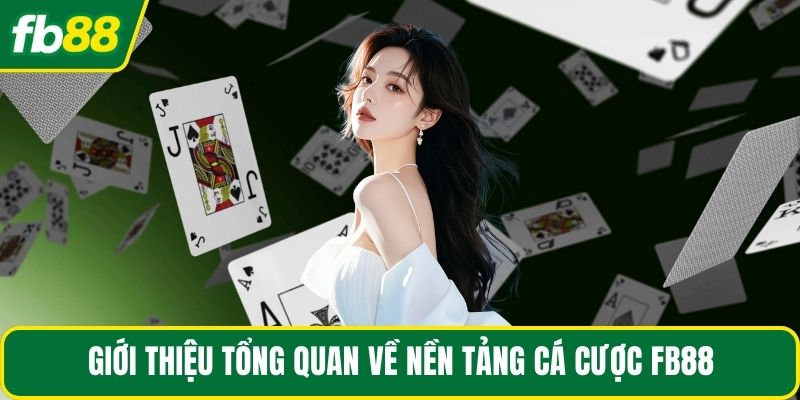 Giới thiệu tổng quan về nền tảng cá cược FB88
