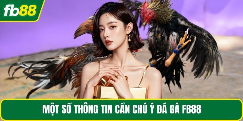 Một số thông tin cần chú ý đá gà FB88