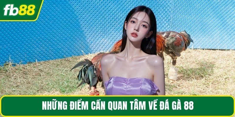 Những điểm cần quan tâm về đá gà 88