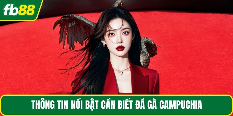 Thông tin nổi bật cần biết đá gà Campuchia